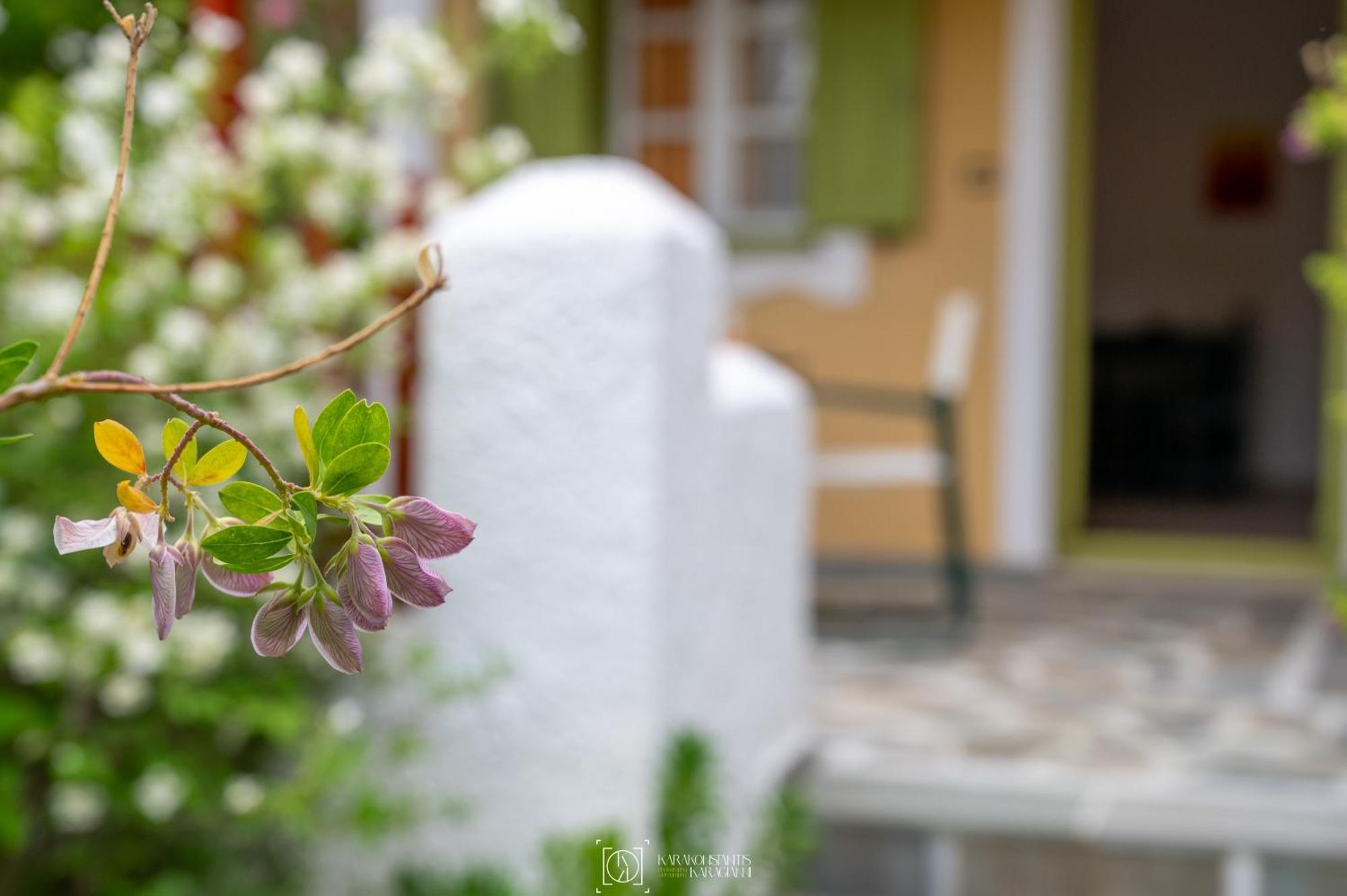 Apartamento Pleiades Samos Marathókampos Exterior foto